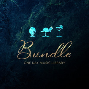 ONE DAY MUSIC LIBRARY - BUNDLE