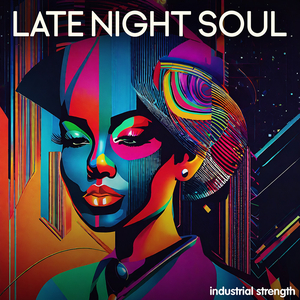 LATE NIGHT SOUL