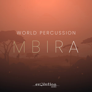 WORLD PERCUSSION MBIRA