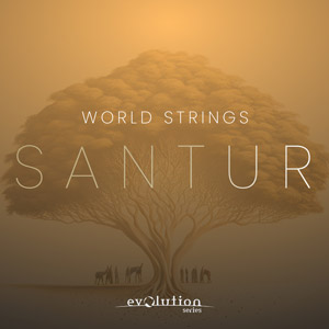 WORLD STRINGS SANTUR