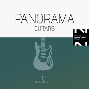 PANORAMA GUITARS