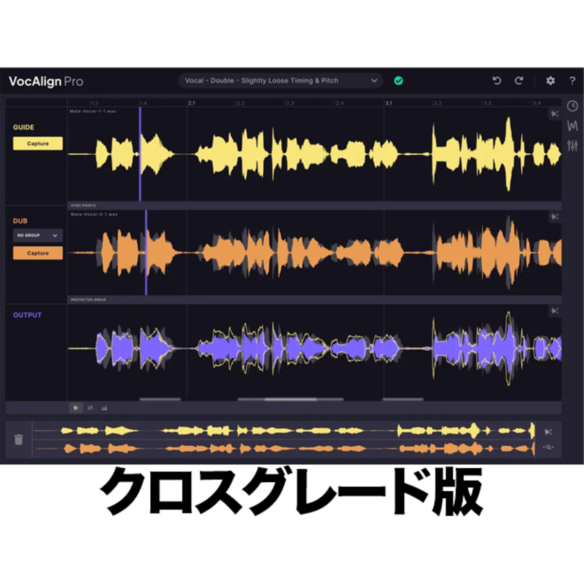 VocAlign 6 Standardクロスグレード