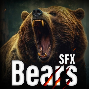 BEARS SOUND EFFECTS LIBRARY
