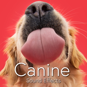 CANINE SOUND PACK