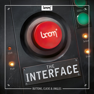 THE INTERFACE