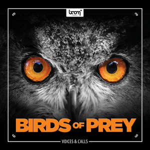 BIRDS OF PREY