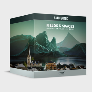 FIELDS & SPACES AMBISONIC