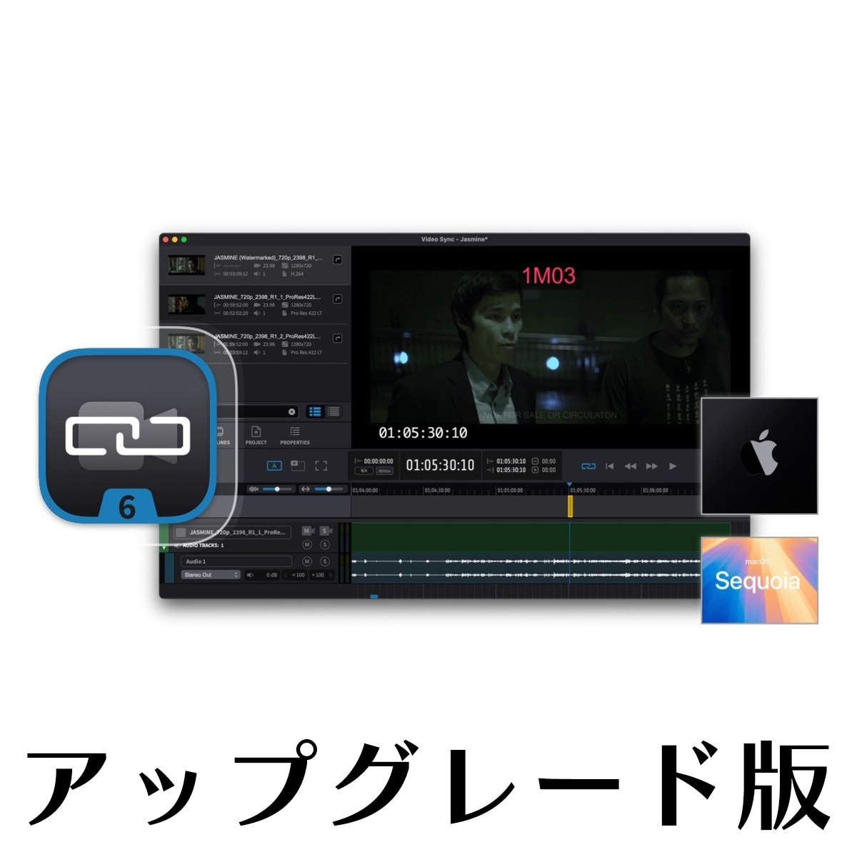 Video Sync 6 Pro アップグレード版【対象：Video Slave 4 Pro をお持ちの方】