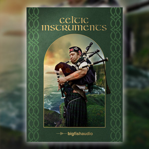 CELTIC INSTRUMENTS