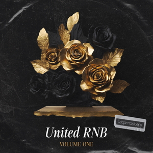 UNITED RNB VOL 1