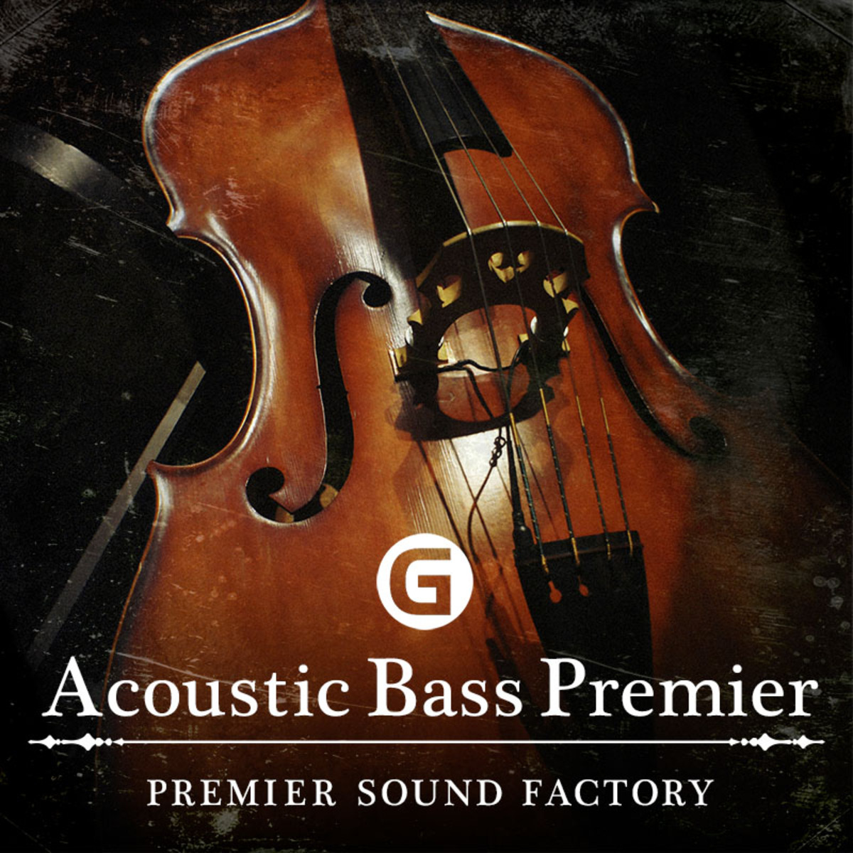 Acoustic Bass Premier G