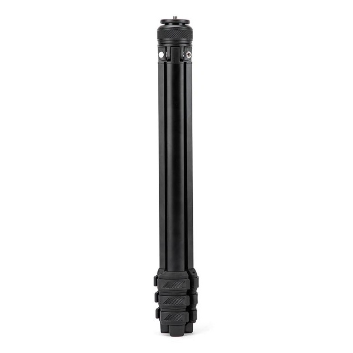 Model 04