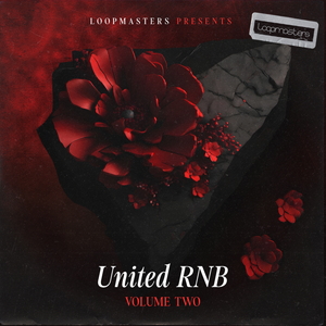 UNITED RNB VOL 2