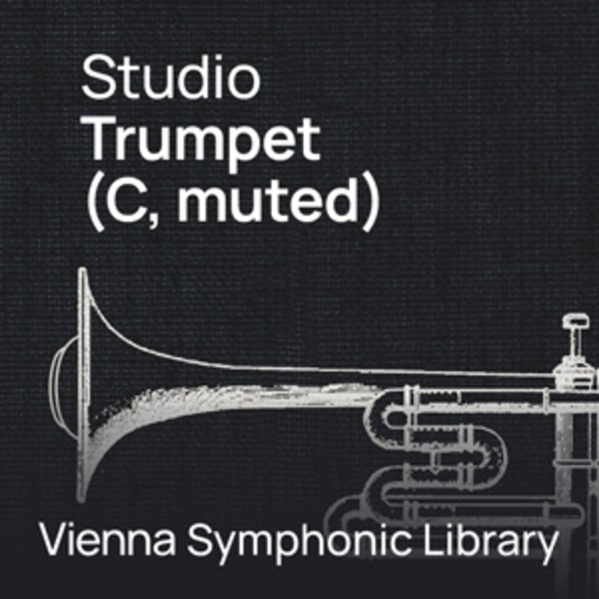 STUDIO TRUMPET (C / MUTED)