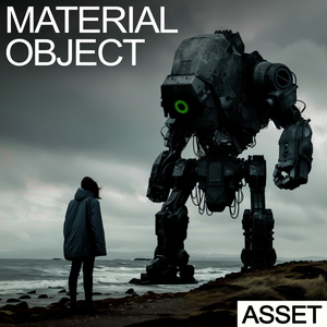 MATERIAL OBJECT - ASSET