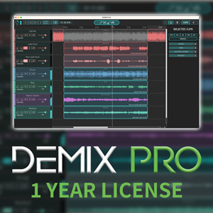 DEMIX PRO (1YEAR)