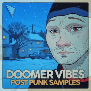 DOOMER VIBES - POST PUNK