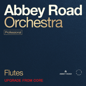 ABBEY ROAD ORCHESTRA: FLUTES PRO UPG FROM CORE