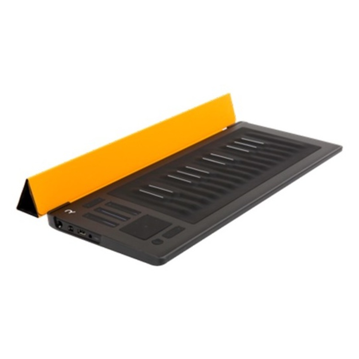 RISE 25 Flip Case - Amber デモ使用品