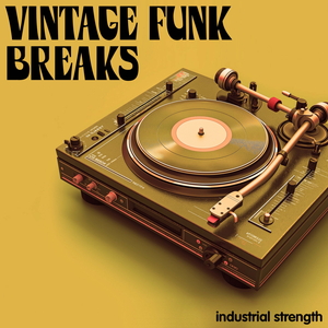 VINTAGE FUNK BREAKS