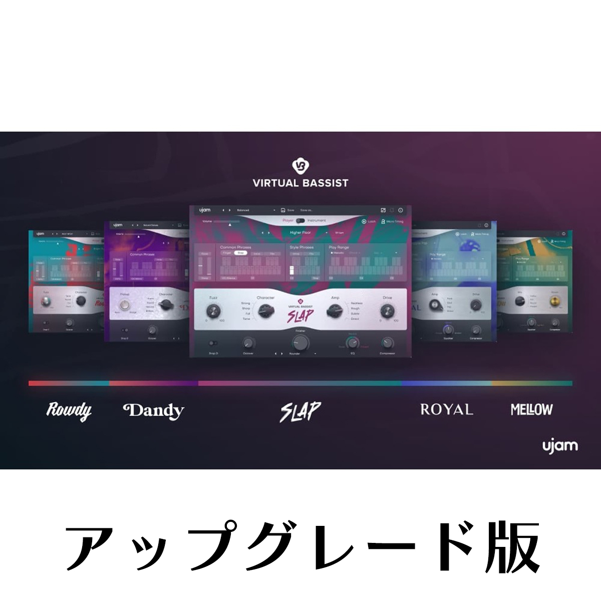 Virtual Bassist Bundle UPG版