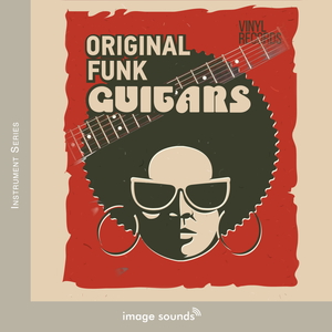FUNK GUITARS