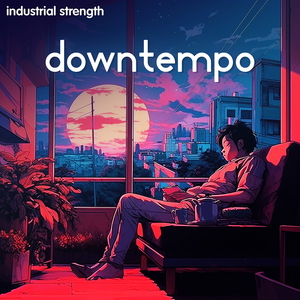 INDUSTRIAL STRENGTH - DOWNTEMPO