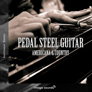 PEDAL STEEL GUITAR - AMERICANA & COUNTRY