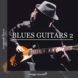 BLUES GUITARS 2