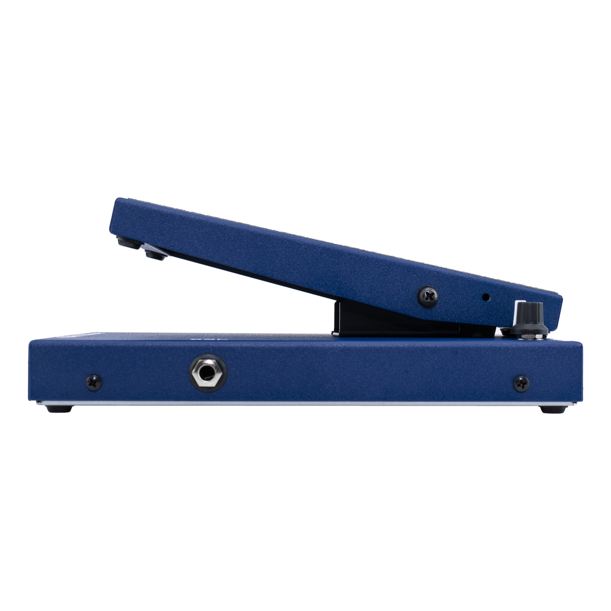 20/20 Rex Brown Old Blue Wah