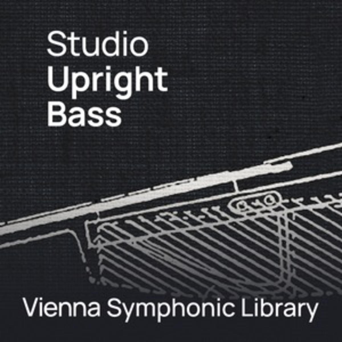 STUDIO UPRIGHT BASS