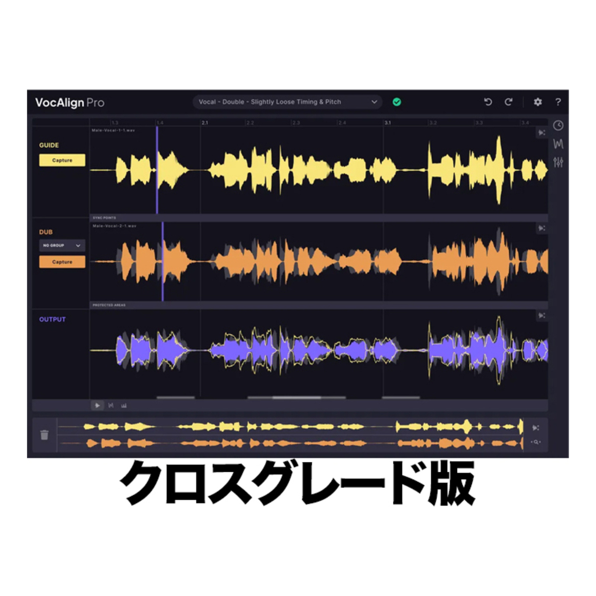VocAlign 6 Standardクロスグレード