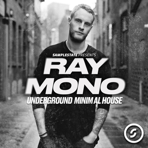 RAY MONO - UNDERGROUND MINIMAL HOUSE