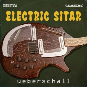 ELECTRIC SITAR
