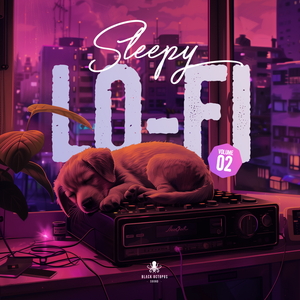 SLEEPY LO-FI VOL 2