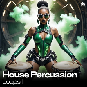ELEMENTS - HOUSE PERCUSSION LOOPS 2