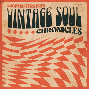 VINTAGE SOUL CHRONICLES