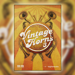 VINTAGE HORNS 3