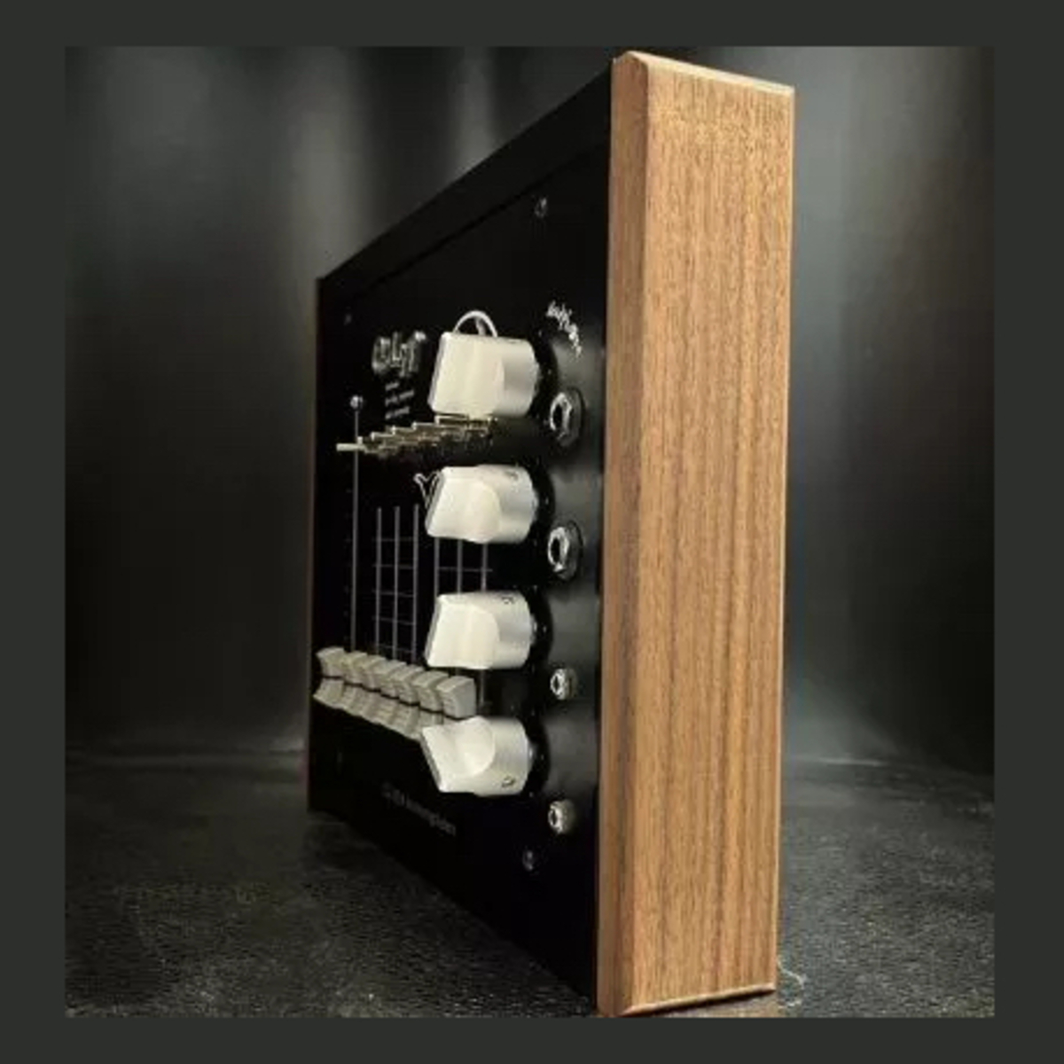 OZ80x Monitoring System OZ-801 1 output Black sidewood