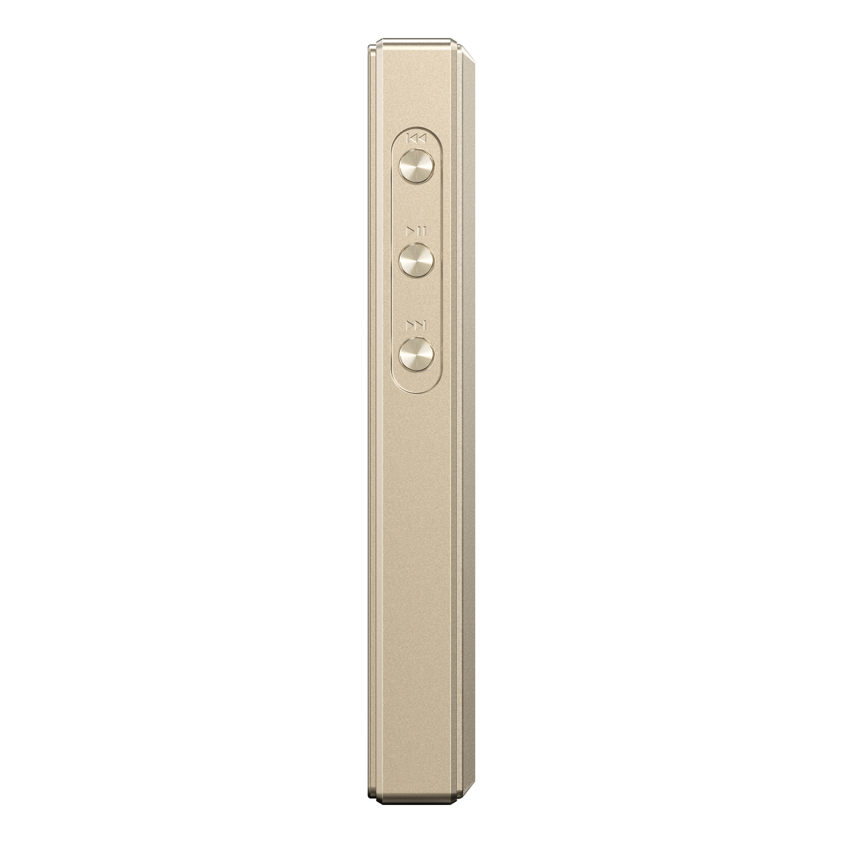 M21 Titanium Gold