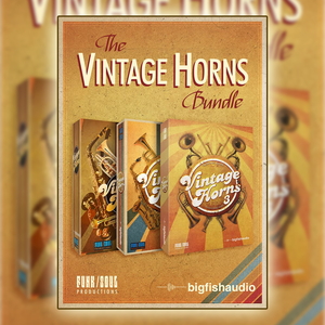 VINTAGE HORNS BUNDLE