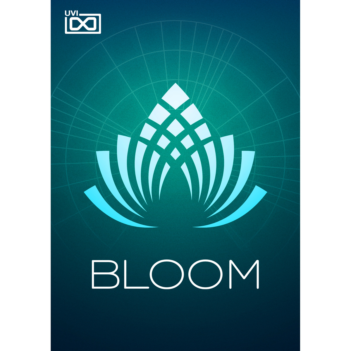 Bloom