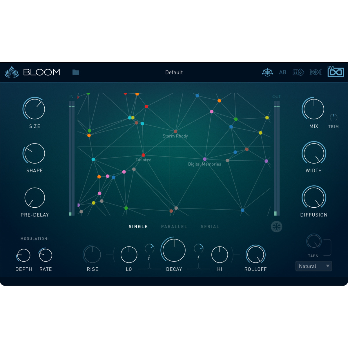 Bloom