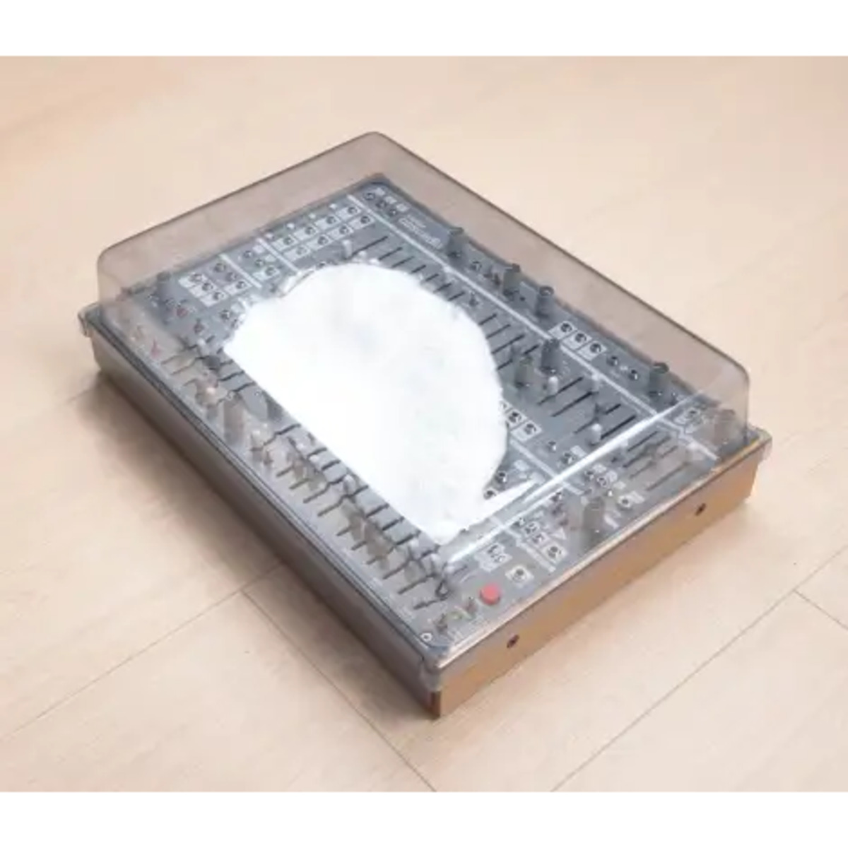 Cacadia Lid