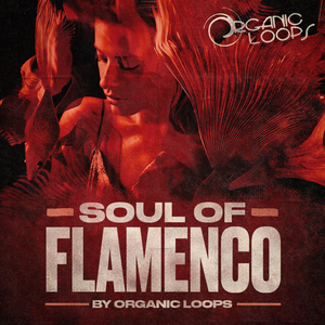 SOUL OF FLAMENCO