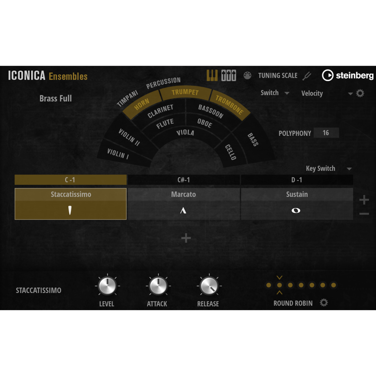 Iconica Ensembles