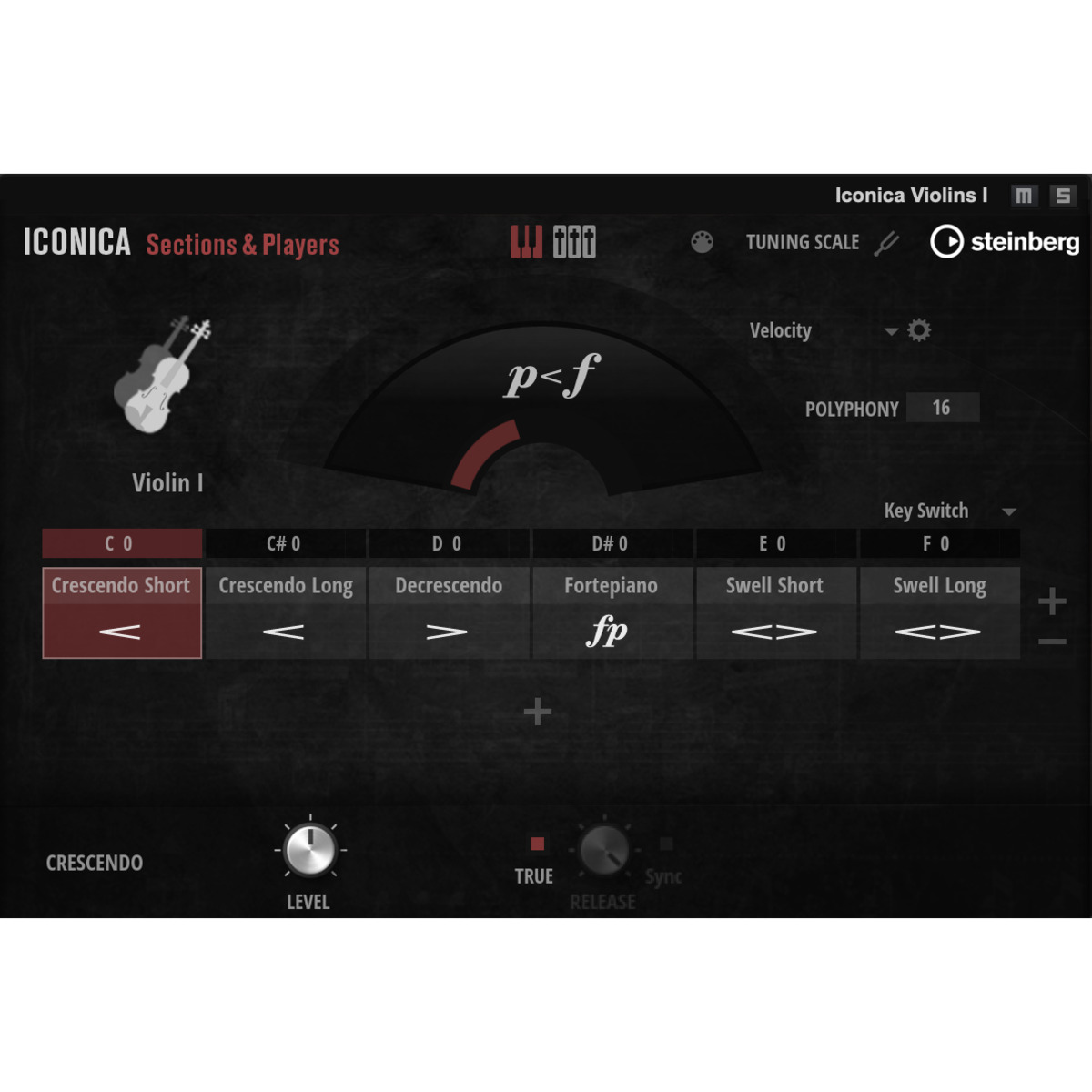 Iconica Sections & Players