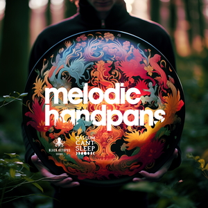Melodic Handpans by CallumCantSleep
