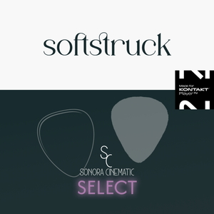 Softstruck / Upgrade