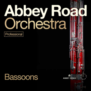 Abbey Road Orchestra: Bassoons Professional